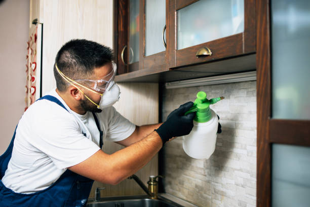 Best Commercial Pest Control Services  in Verandah, FL