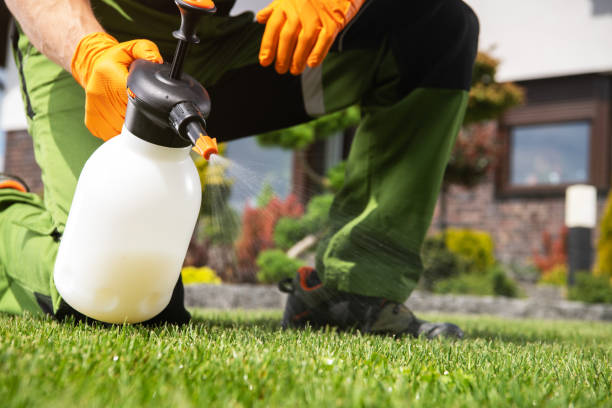 Best Cockroach Control Services  in Verandah, FL