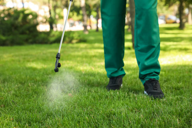 Best Cockroach Control Services  in Verandah, FL