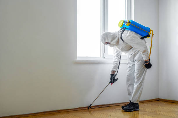 Best Local Pest Control Services  in Verandah, FL