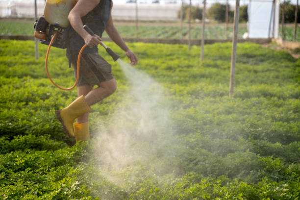 Best Affordable Pest Control Services  in Verandah, FL
