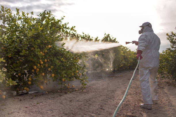 Best Best Pest Control Companies  in Verandah, FL