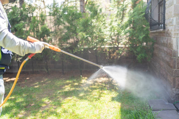 Best Wasp Removal Services  in Verandah, FL