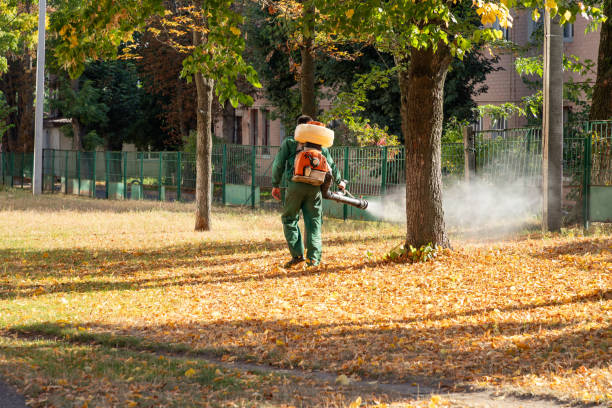 Flea Control Services in Verandah, FL